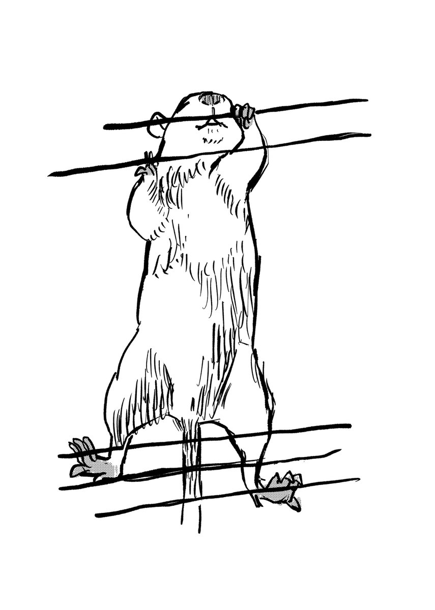 rattotora's tweet photo. 柿ピーさんちのラットさんを描かせていただきました！ https://t.co/tDe8R7AWAB
