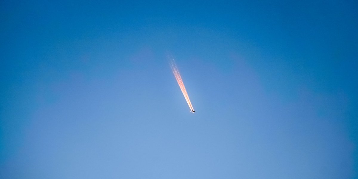 𝓴𝓸𝓰𝓪𝔂𝓪. tweet media