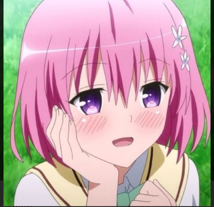 モモ (CHU^2 cc) tweet media