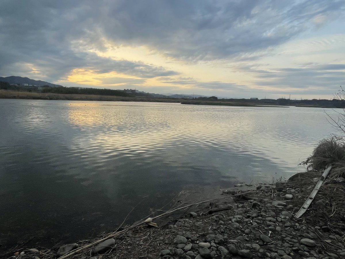 かわとら tweet media