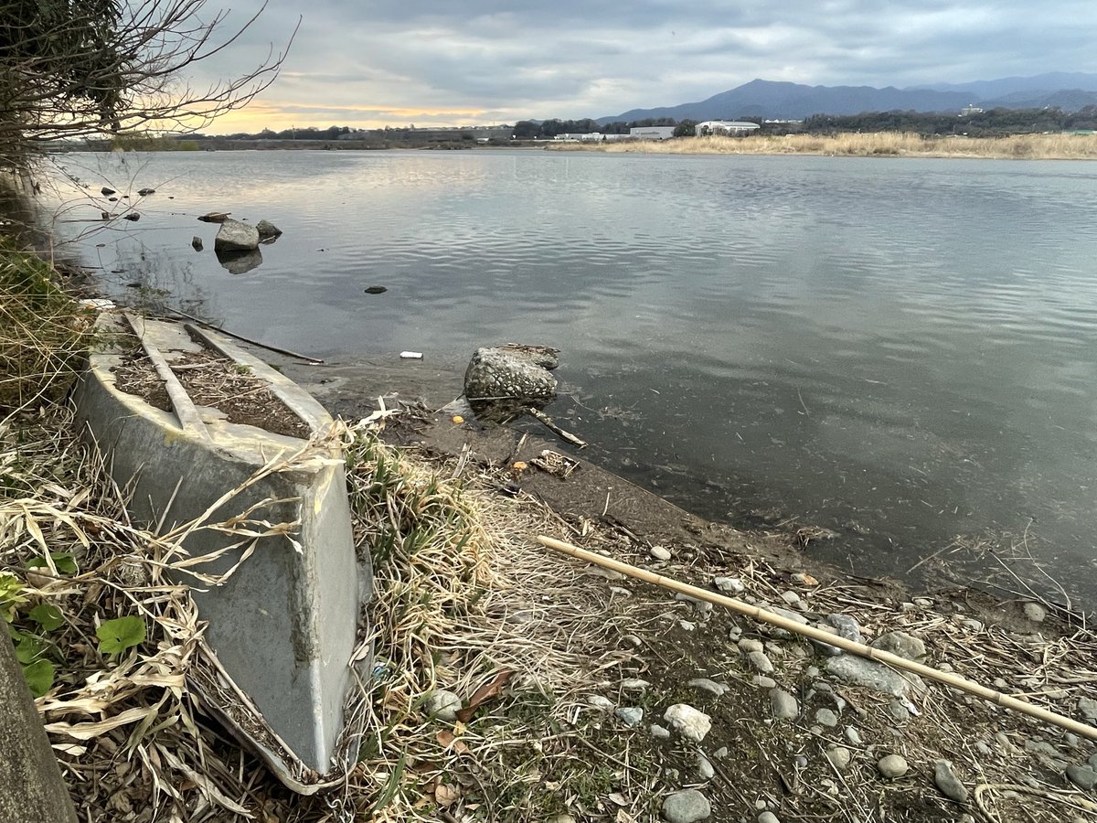 かわとら tweet media