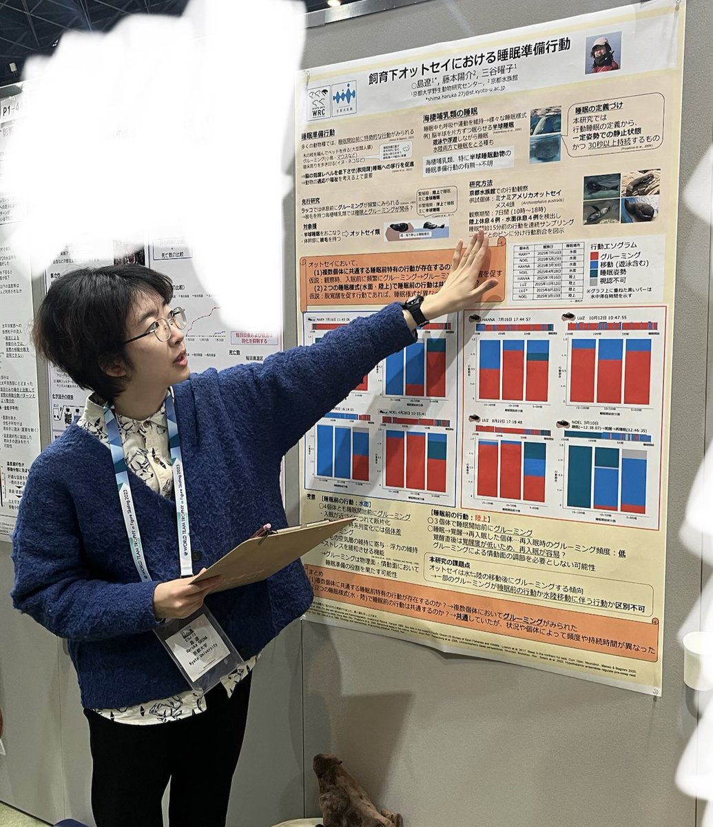 京大WRC海獣班 tweet media