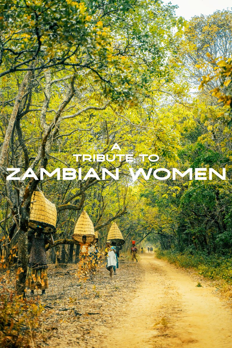 Midas $everino tweet media