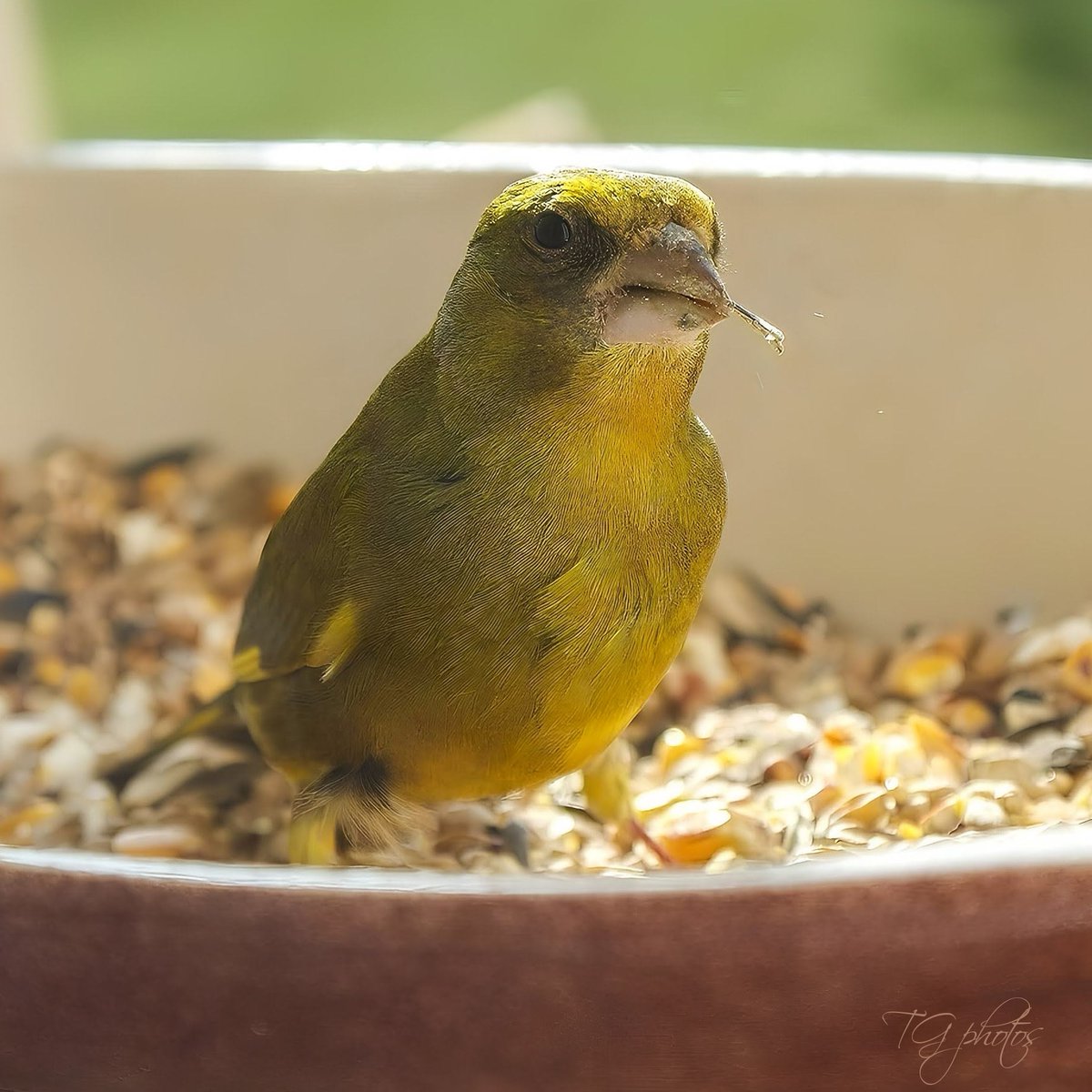 Eye contact is one of the most intense vectors of emotions, this is mainly due to the fact that it allows us to perceive the emotions and intentions of each person. For the moment of a photograph, our eyes met, and time stopped📸