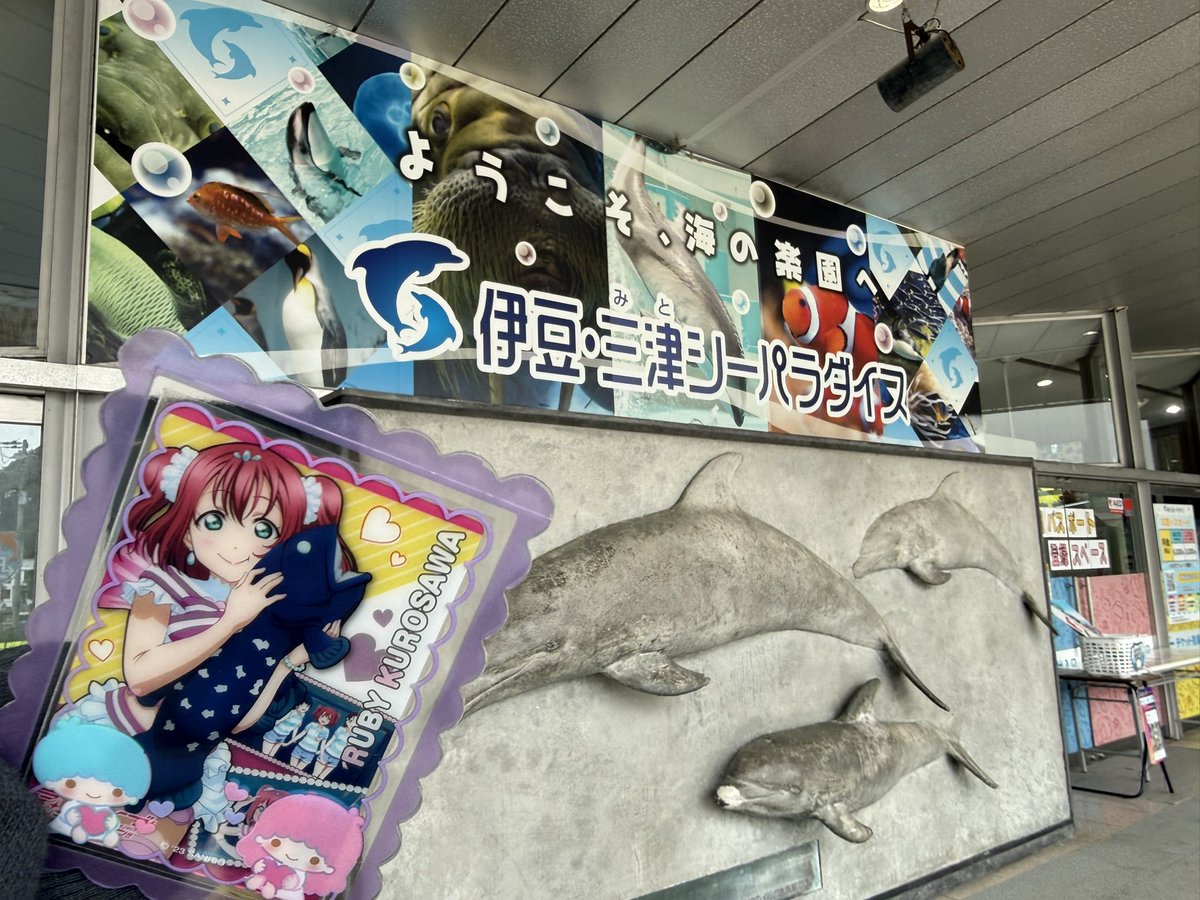 ぺんぺん🐧🍭🐙📶 tweet media