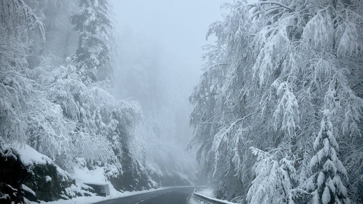 A very good 🇨🇭 morning indeed