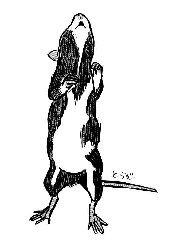 rattotora's tweet photo. ちょさんちのラットさんを描かせていただきました！ https://t.co/KufspslRFn