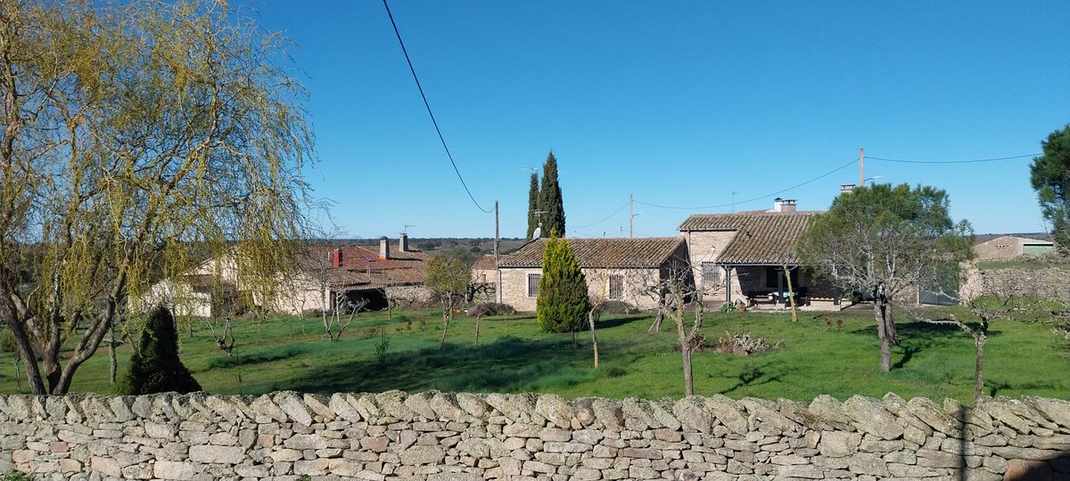 Virginia Martínez tweet media