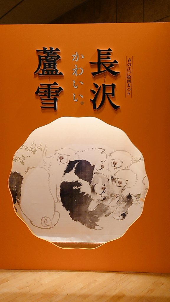 もちもちの犬かわいかった🐶 