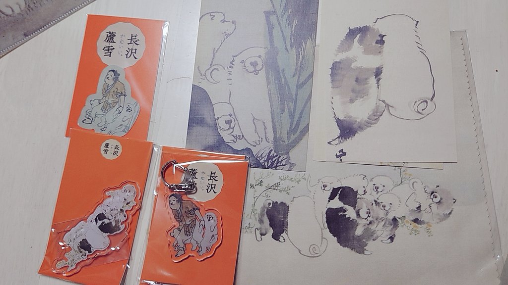 もちもちの犬かわいかった🐶 