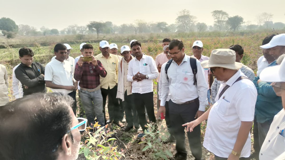 Maha Forest Official tweet media