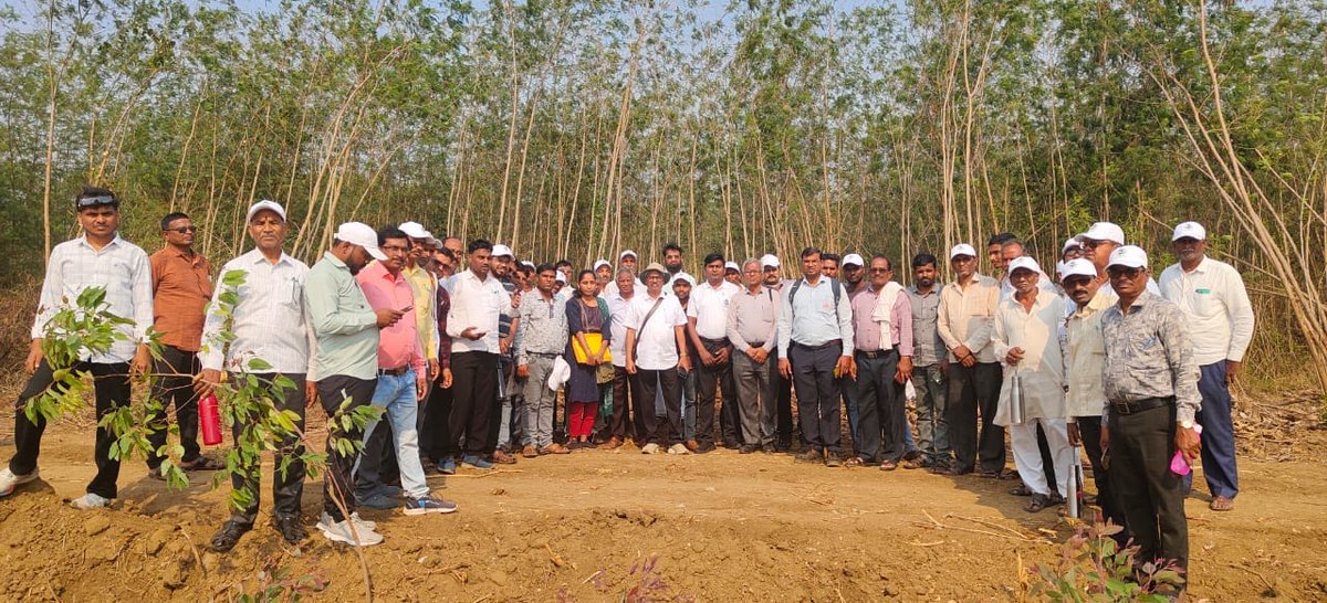 Maha Forest Official tweet media