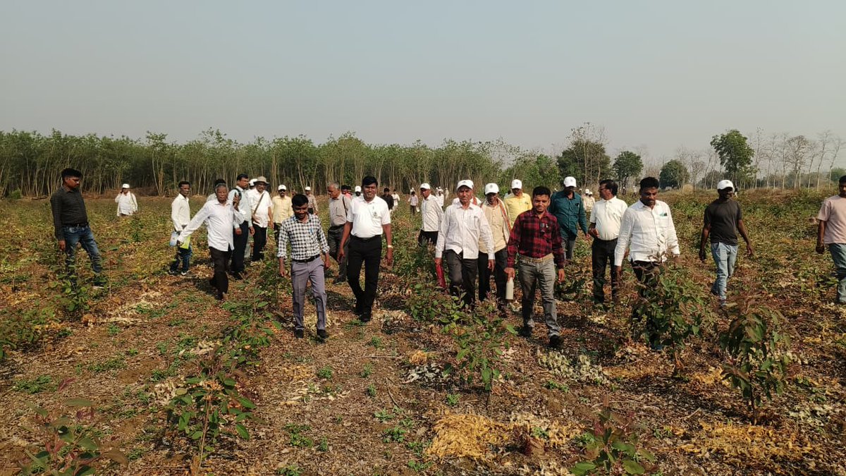 Maha Forest Official tweet media