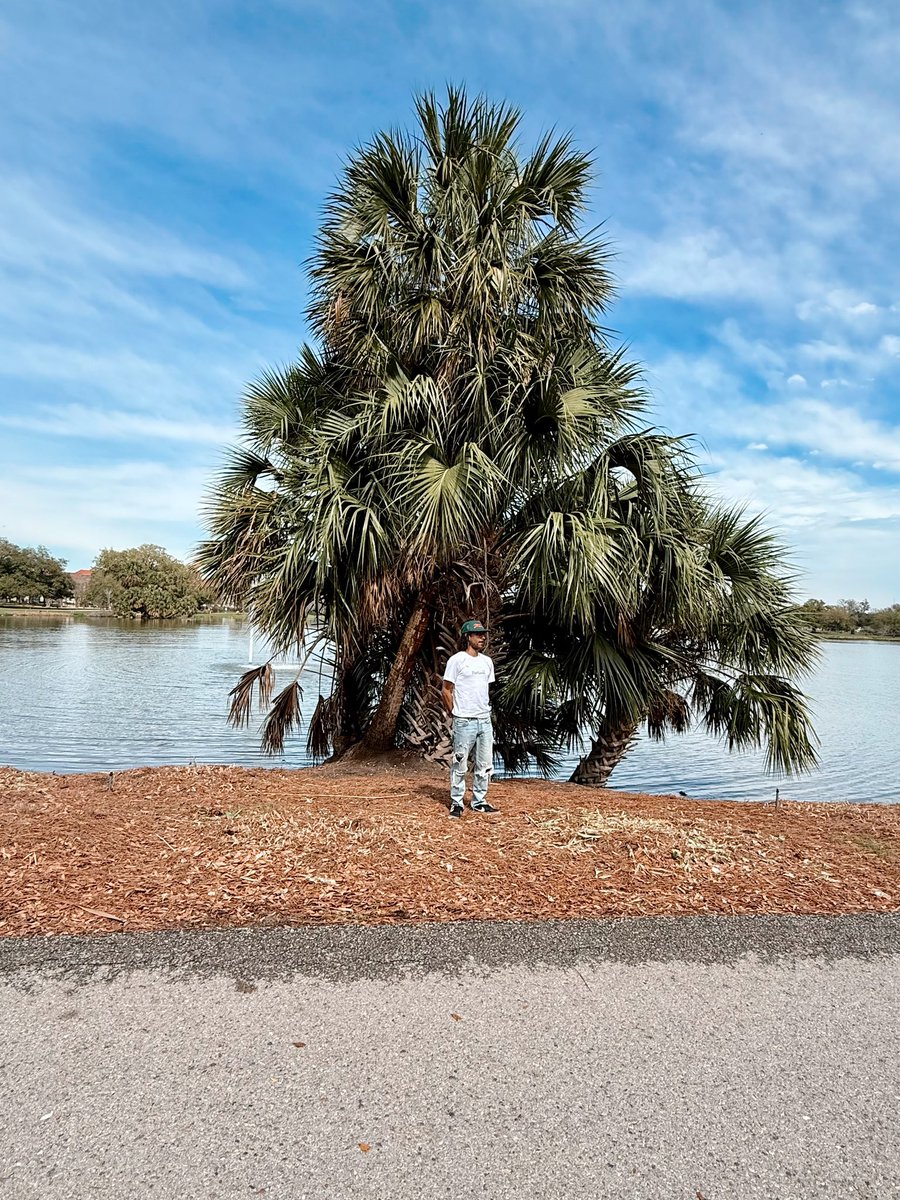 cleopatra’s nephew. tweet media