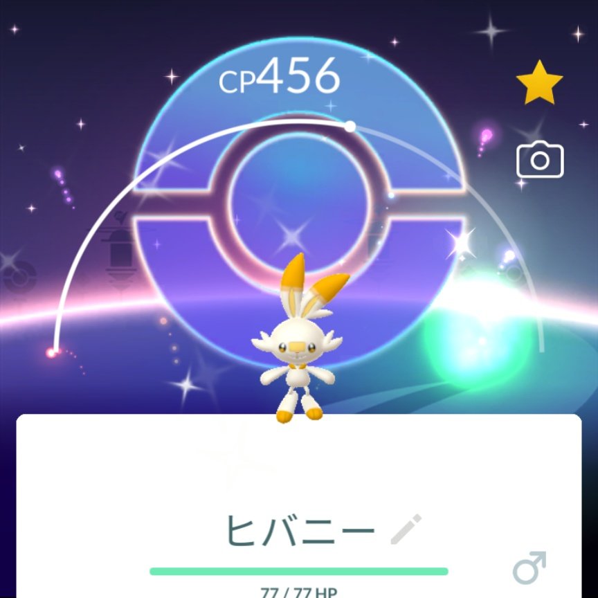 かとまる tweet media