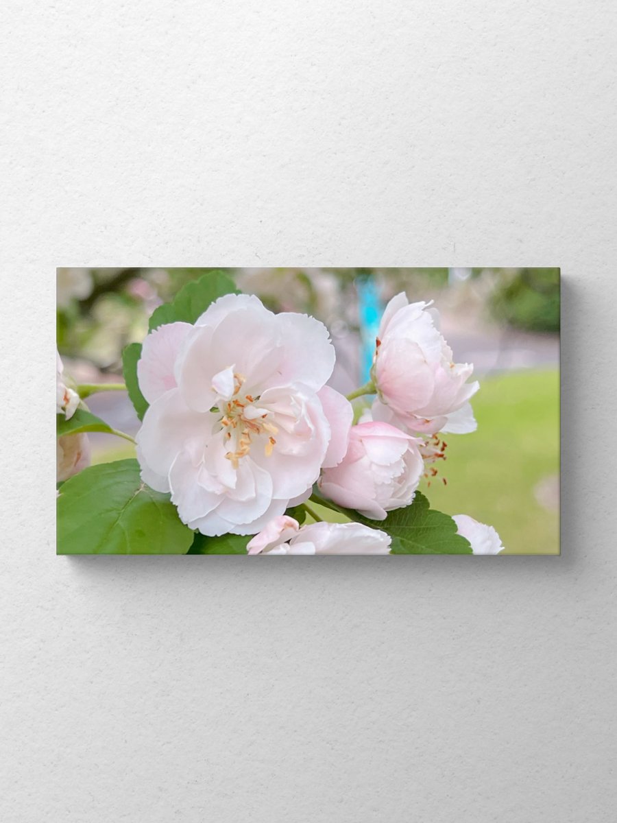 storiesnstanza's tweet image. Sunday  15 March   
Today’s Daily Picture Theme is ‘Gentle'   

 #DailyPictureTheme #Gentle @DailyPicTheme2