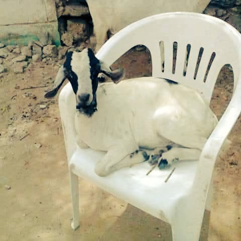 Assoweh Abk 🤔 tweet media