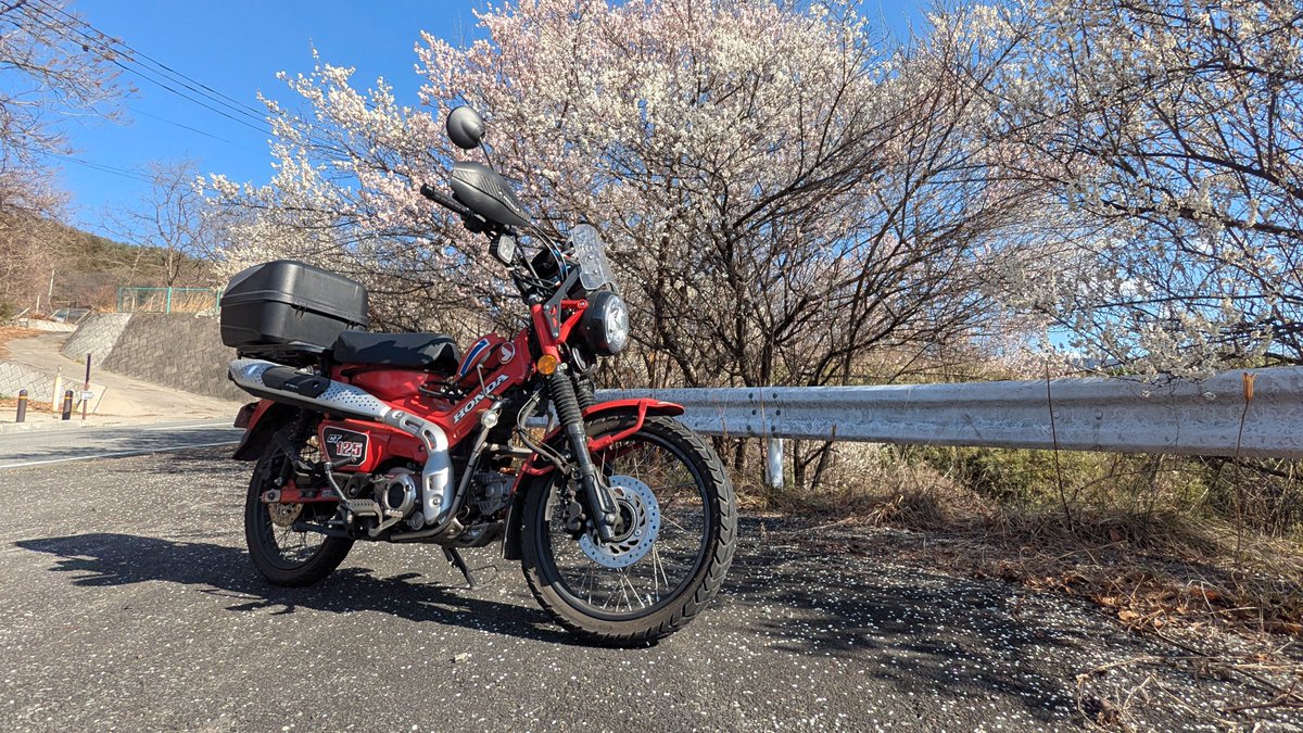 ラストフルーツライン
バイク通勤終了ということは月末でこれも退役なわけで
名残惜しいけど狭いトキョにバイク2台は持っていけねぇ
置き場所以外本当に何一つネガの無い、宇宙最強のママチャリだったぜ
#ハンターカブ