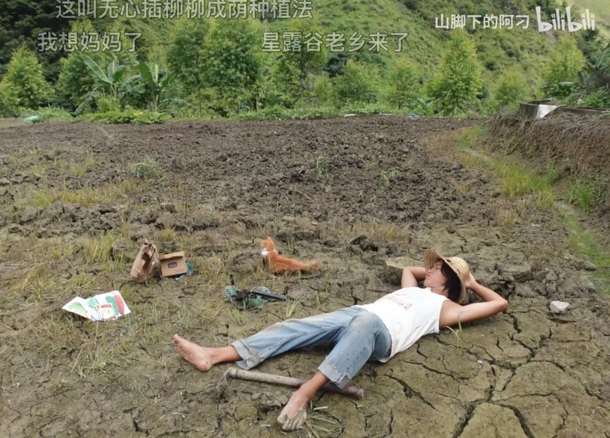 touch the grass，这不就是惬意的人生吗？直接躺平🌿

0x7d0c83bcf0ea81abe79257a9706b888c0bc44444