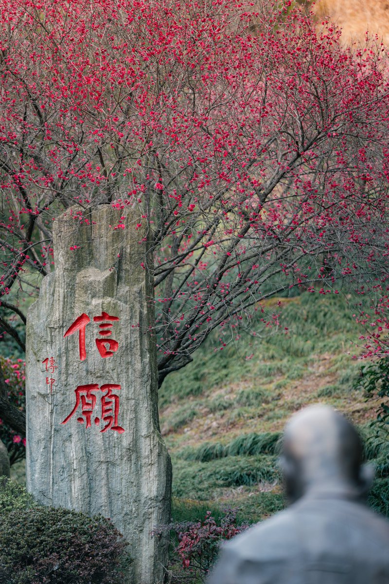 donglin386's tweet photo. The Colors of Early Spring at Donglin Monastery

#Spring
#Chinesetemple
#Amitabha
#Amituofo https://t.co/Gt4qS0V5ST