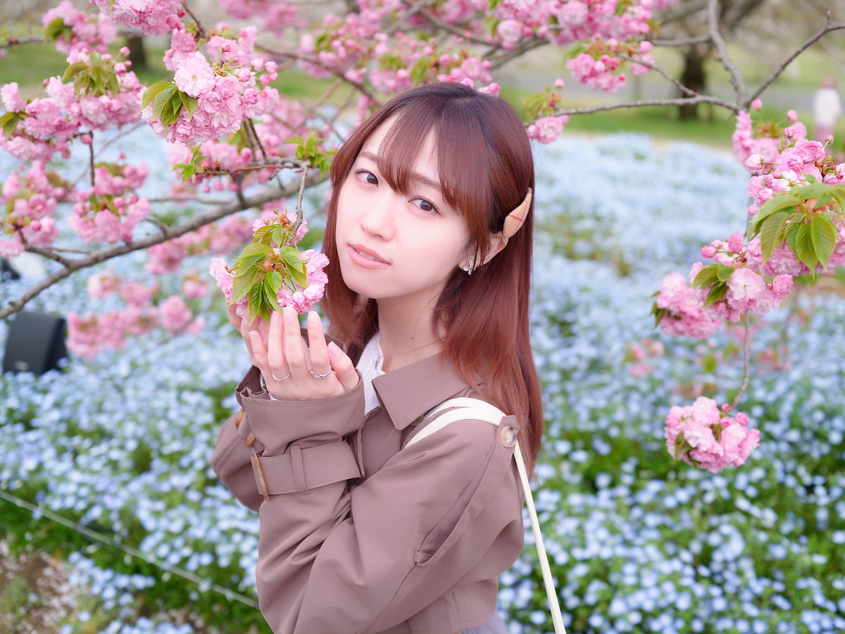 🤗KURA🐇 tweet media