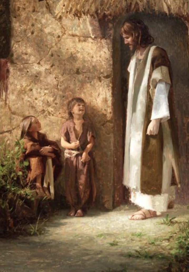 💛 Manal tweet media