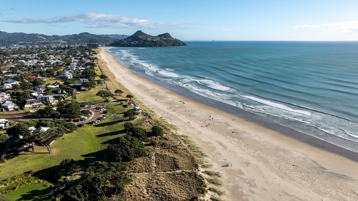 Surfing New Zealand tweet media