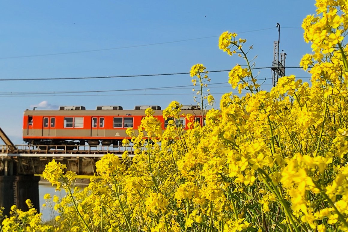昨日の写真 1枚目 8111F菜の花リベンジ 2枚目 80000系と菜の花 3枚目 車輪転削返却回送(11633F) 4枚目 3枚目の続行で来 ...