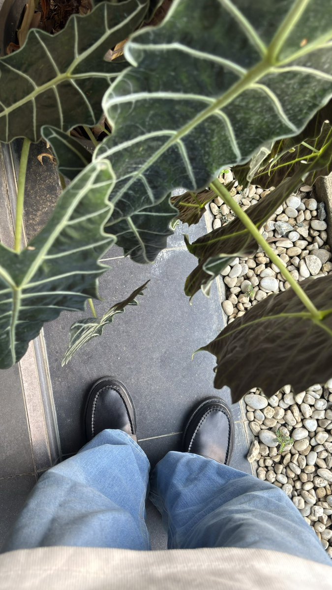 First time pake loafers utk ngonten