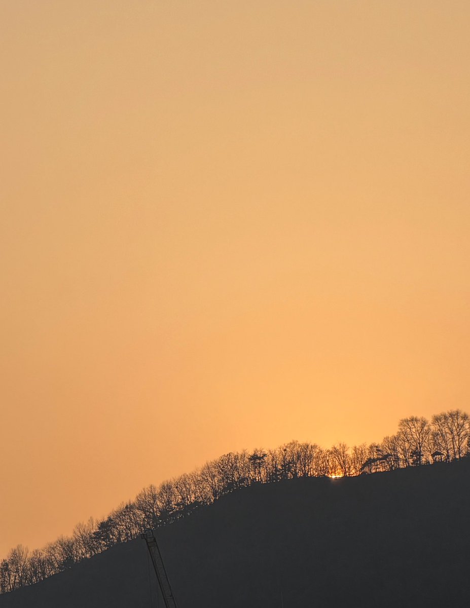 김딸기🍓 tweet media