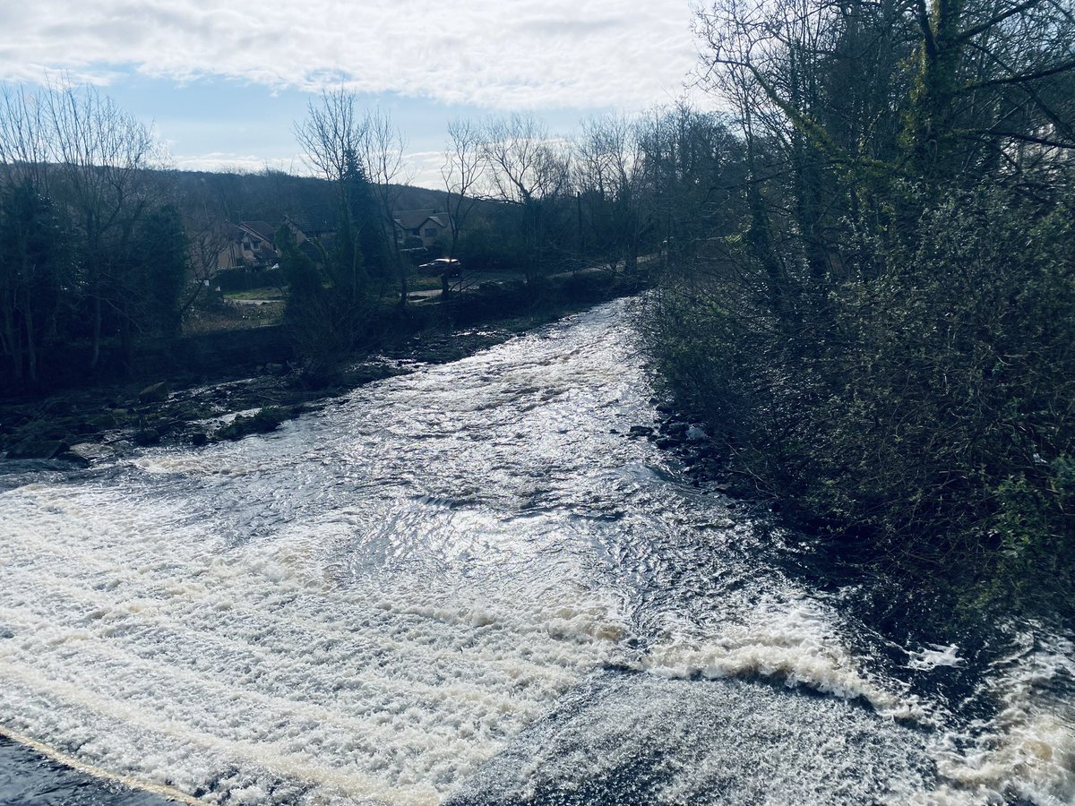 Mike Fox tweet media