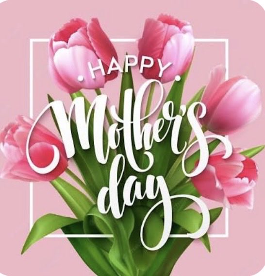 Quintin Young tweet media