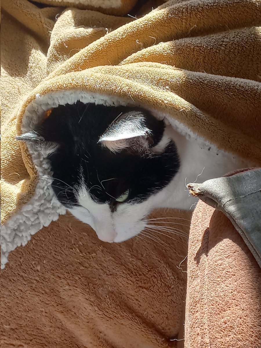 @Annaoldtimer 😉😹😹 tweet media