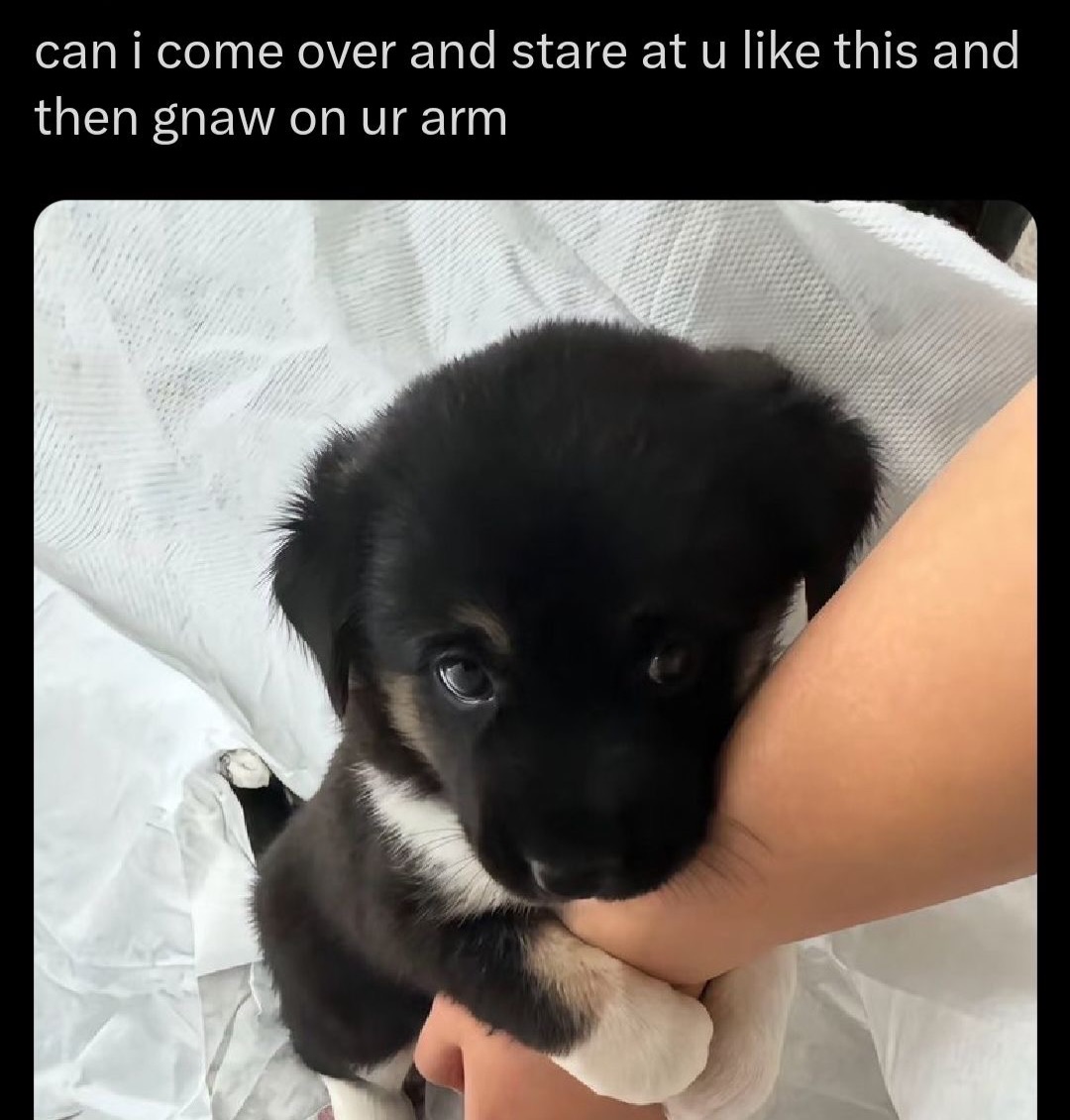 i drink soup tweet media