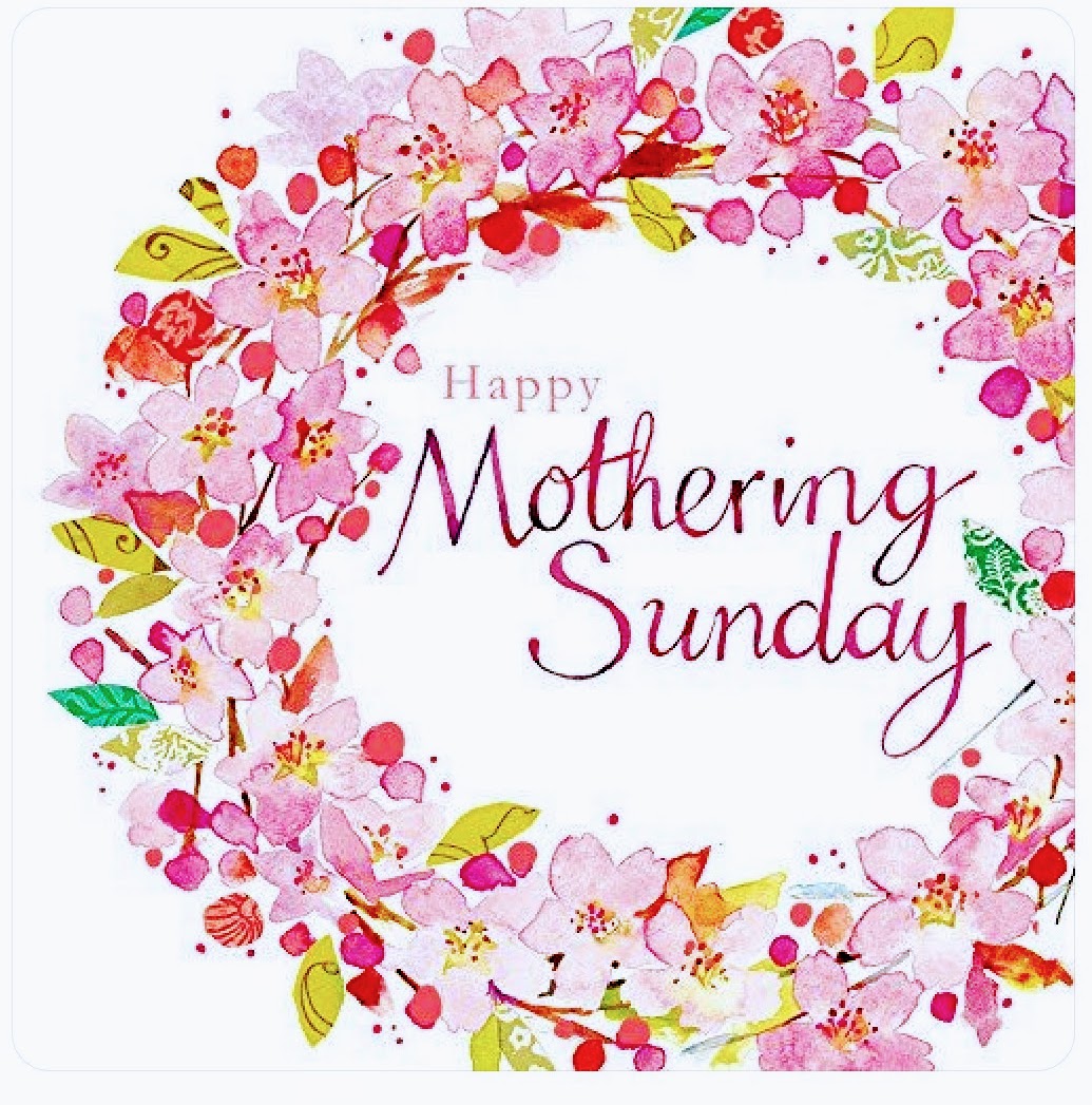 St Leonard's Primary tweet media