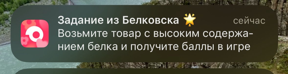 Котюша tweet media