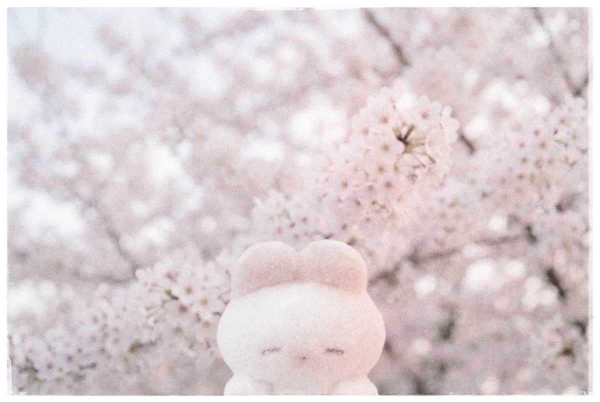 ねむfami (@remme_fami) / Posts / X