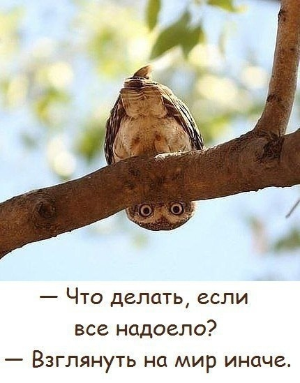 ...перемен