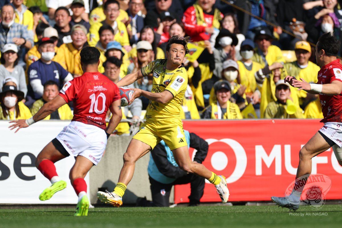 サンゴリアス君 tweet media