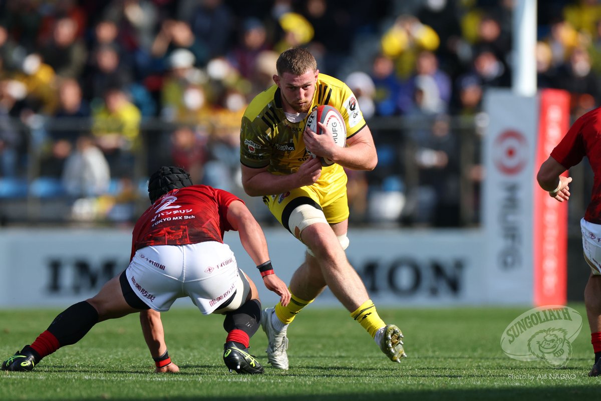 サンゴリアス君 tweet media