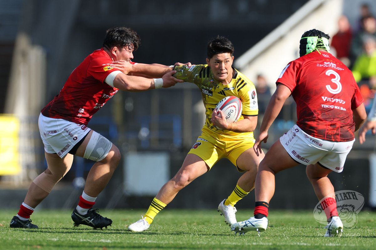 サンゴリアス君 tweet media