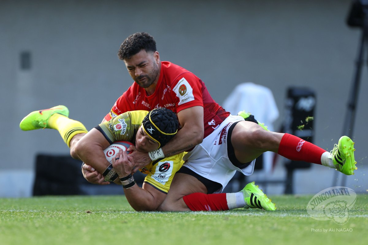 サンゴリアス君 tweet media