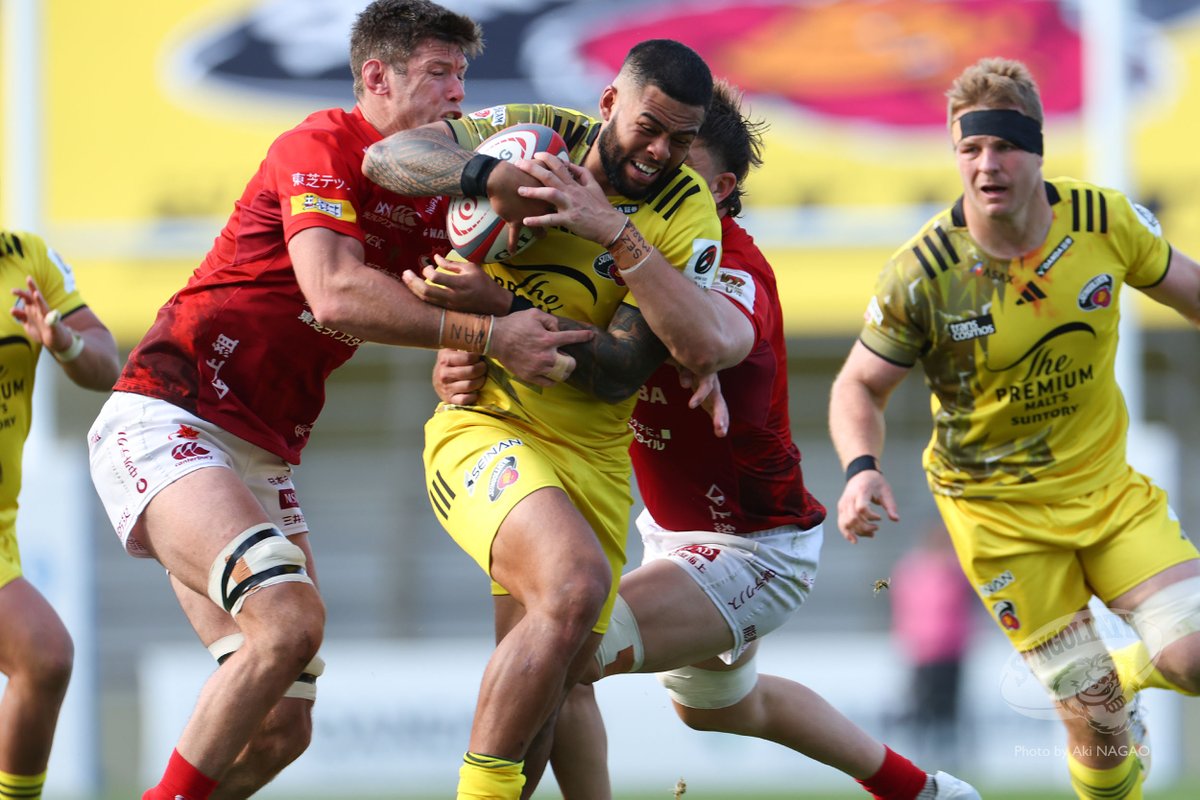 サンゴリアス君 tweet media