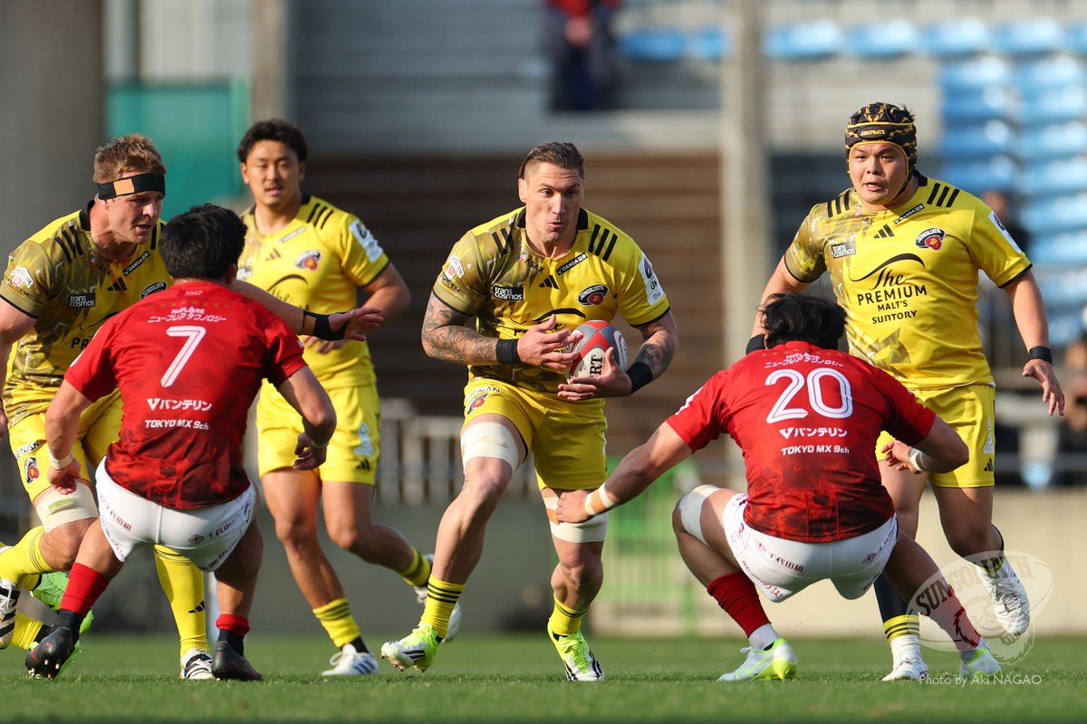 サンゴリアス君 tweet media