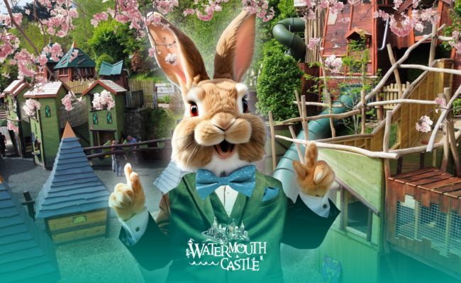 Devon's Top Attractions tweet media