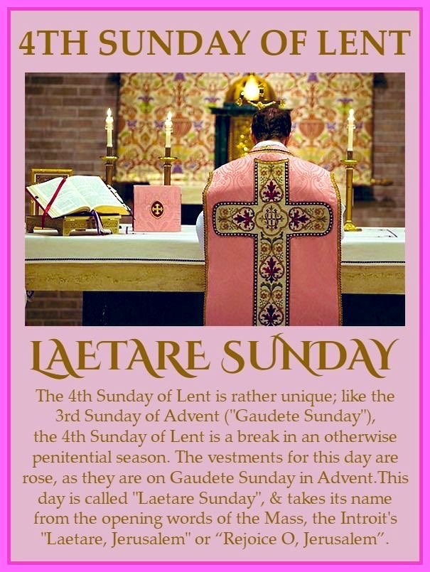 Jan 🏴󠁧󠁢󠁳󠁣󠁴󠁿 tweet media