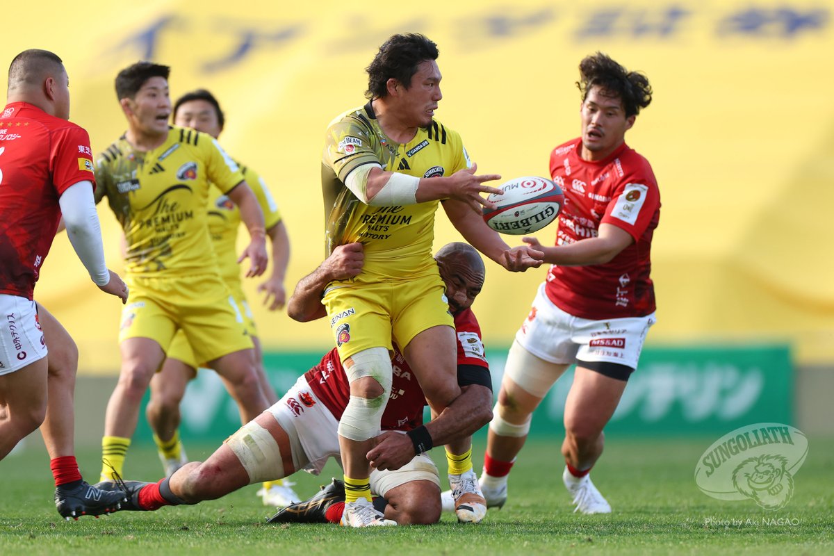 サンゴリアス君 tweet media