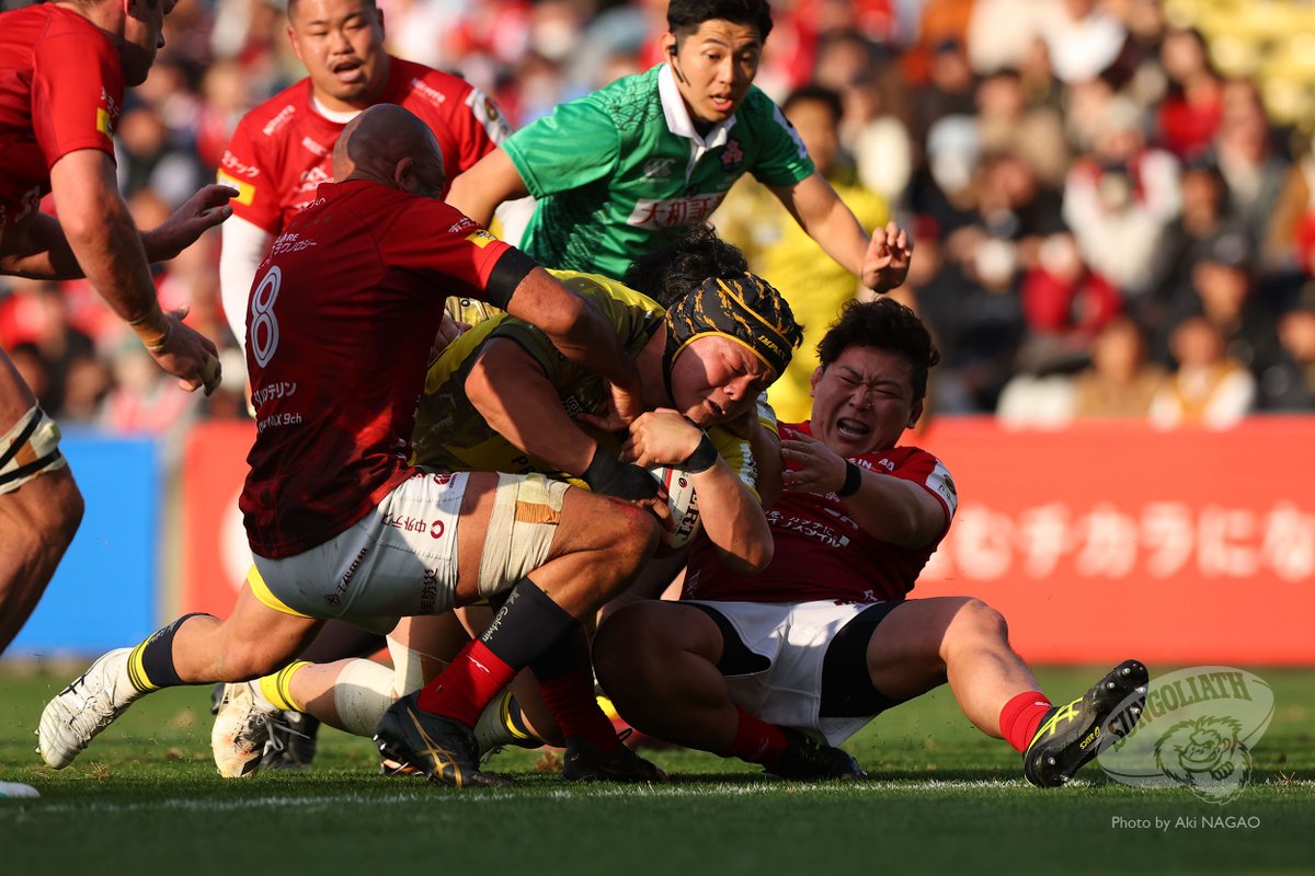 サンゴリアス君 tweet media