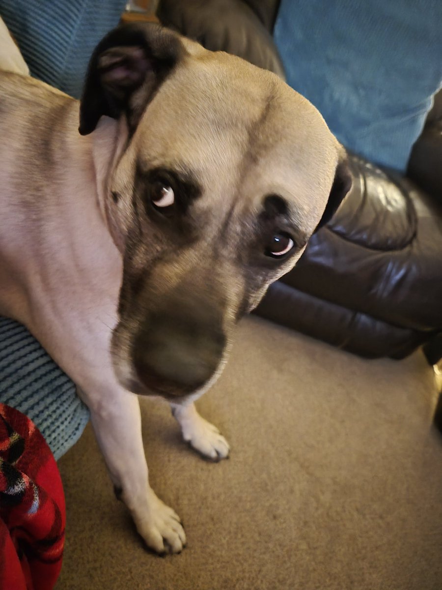 Electrix tweet media