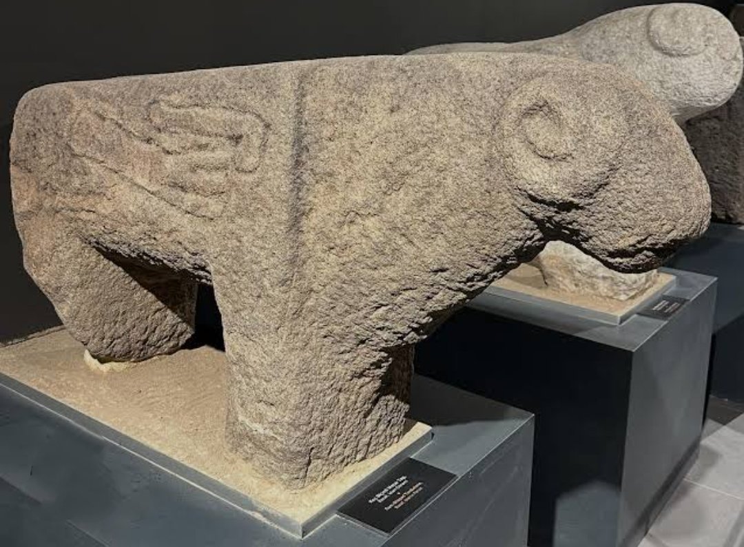 Kutlu Cihan 🌍🌕 tweet media